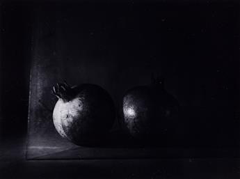 FLOR GARDUÑO (1957- ) Pato y Granadas, Suiza [Duck and Pomegranates, Switzerland] * Granadas, Suiza [Pomegranates, Switzerland].